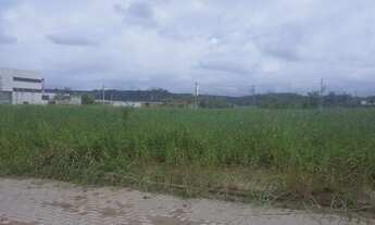 Imagem 6: Galpão/Depósito/Armazém para venda tem 1000 metros quadrados em Rio Abaixo - Jacareí - SP