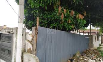 Imagem 4: Terreno para Venda - 0m², 0 dormitórios, Tristeza