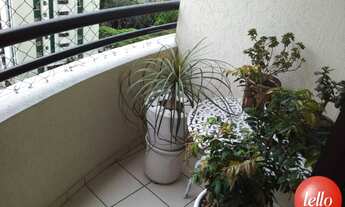 Imagem 5: São Paulo - Apartamento Padrão - Tatuapé