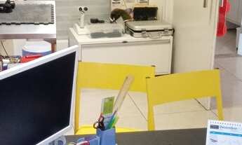 Imagem 5: Passo Clínica Veterinaria em Lauro de Freitas