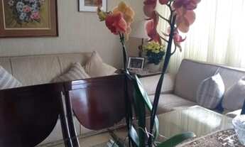 Imagem 1: Próx ao metrô Vila Mariana