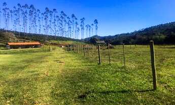 Imagem 4: FAZENDA PRODUTIVA, localizada em Capão Bonito e Guapiara/SP