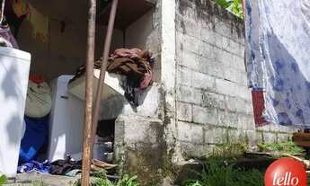 Imagem 7: São Paulo - Casa Padrão - Tremembé