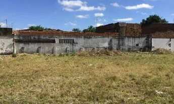 Imagem 6: Excelente Terreno Plano