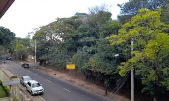 Imagem 4: Na rua Engenheiro Antônio Carlos Tibiriçá, junto à Avenida Salvador França, bairro Jardim