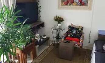 Imagem 5: SãO JOSé - Padrão - Serraria