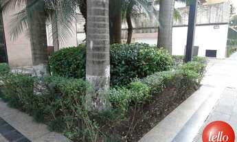 Imagem 6: São Paulo - Conjunto Comercial/Sala - Jardins