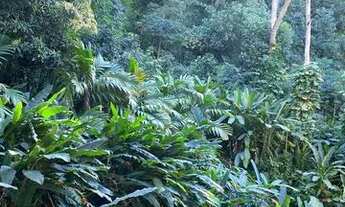 Imagem 4: Charmoso apartamento com vista verde