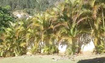 Imagem 4: CASA EM CONDOMÍNIO - JARDIM MARISTELA - SP