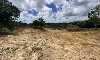 Imagem: Área 13.000 m² - Povoado Terra Nova