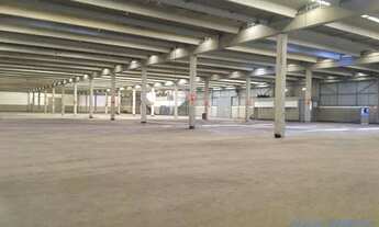 Imagem 2: GALPÃO - SANTO AMARO - SP