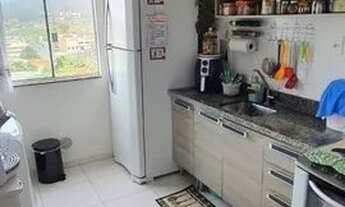 Imagem 6: SãO JOSé - Padrão - Serraria