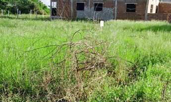 Imagem 4: Terra Norte Itapissuma