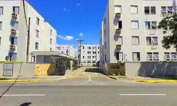 Imagem 2: Apartamento com 3 quartos para alugar por R$ 1350.00, 73.00 m2 - BUCAREIN - JOINVILLE/SC