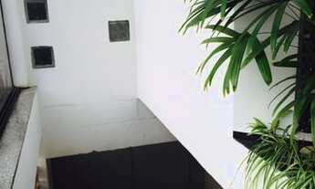 Imagem 6: PRÉDIO - VILA AMÁLIA (ZONA NORTE) - SP