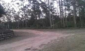 Imagem 4: Terreno de 5mil metros em Mauá próximo são Mateus sp Suzano Ribeirão Pires