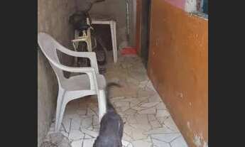 Imagem 3: VENDO CASA Casa com 2 dormitórios