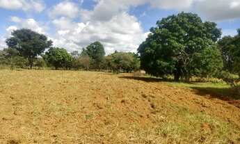 Imagem 3: Vende-se Excelente Chácara