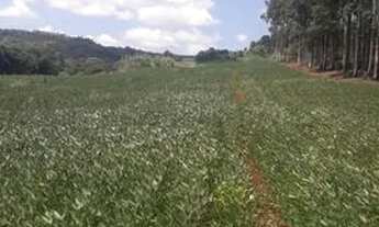 Imagem: Sitio-município de Bandeirantes Paraná-bairro