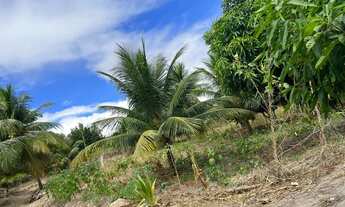 Imagem 2: Sítio próximo a br 230 - tem escritura