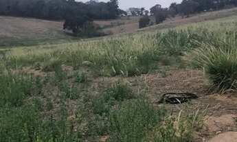 Imagem: Lote/Terreno para venda possui 500 metros