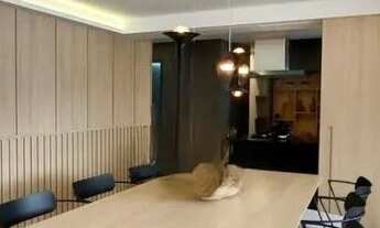 Imagem 7: APARTAMENTO - CAMPO BELO - SP