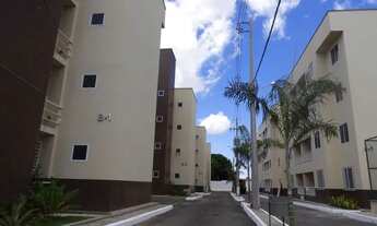 Imagem 4: Apartamento novo Pronto pra morar 2 quartos, suíte, varanda, no novo Anil São Luís MA