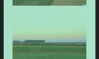 Imagem 6: Fazenda 9.500hect no Campos de Júlio MT. 5 mil abertos 300 milhões