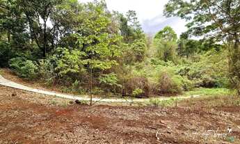 Imagem 6: Aldeia do Vale Terreno exclusivo com fundo para mata preservada em Goiânia