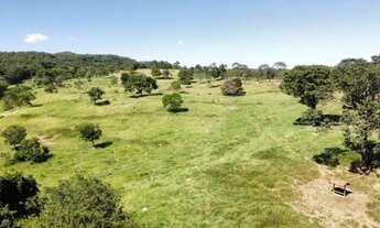 Imagem 7: Fazenda para cria de gado, Marzagão Go