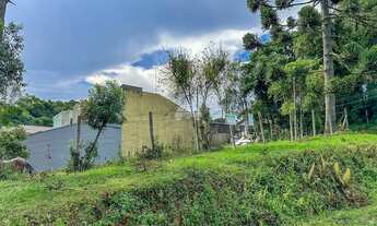 Imagem 3: Vendas Terreno Piraquara PR