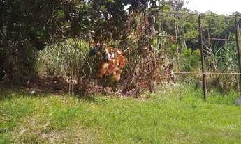 Imagem 3: Área à venda, 29750 m² por R$ 10.000.000,00 - Itaipu - Niterói/RJ