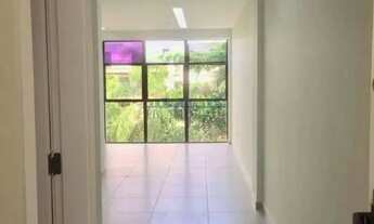 Imagem 6: Jardim Oceânico