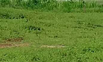 Imagem: Sítio com 50 mil M2 em Quissamã próximo