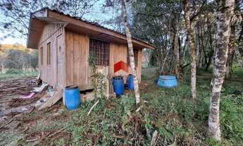 Imagem 5: Terreno com 1.000m² , à venda, no bairro Borda do Campo em São José dos Pinhais
