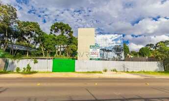 Imagem 2: Lindo Predio Corporativo - Bairro Pilarzinho