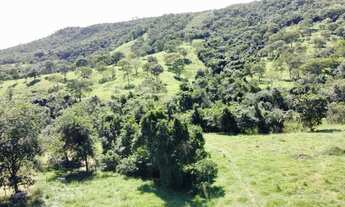 Imagem 6: Fazenda para cria de gado, Marzagão Go
