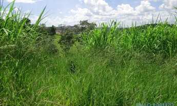 Imagem 3: TERRENO - JARDIM PAULISTA - SP