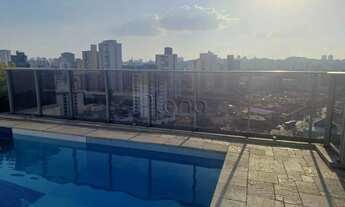 Imagem 3: Apartamento à venda com 1 quarto no Cambuí, Campinas