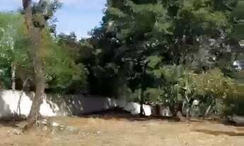 Imagem 6: Lote Villa Verde 2930m²