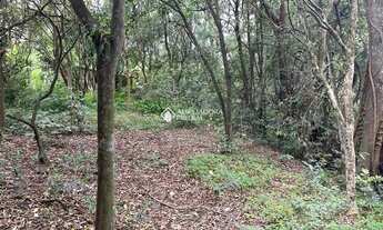 Imagem 3: Grande área no bairro Olaria