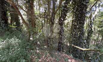 Imagem 4: Terreno à venda em Roseira - SP