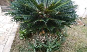 Imagem 5: Imóvel para venda tem 100 metros quadrados com 3 quartos em Tribobó - São Gonçalo - RJ