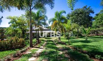 Imagem 3: Chácara com excelente localização