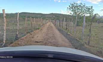 Imagem 7: Excelente área para sitio de 21. 5 t entre Anguera e Bonfim de Feira