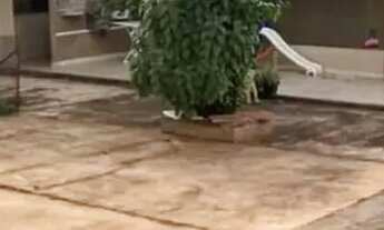 Imagem 2: Salão comercial com 1 casa contendo 3 quartos sendo 1 suíte no Monte Castelo em Campo Gran