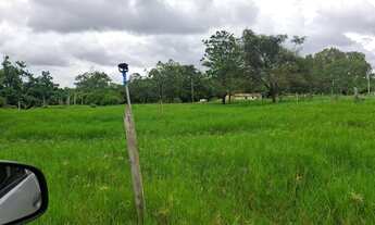 Imagem 3: Vendo excelente sítio as margens do São Francisco