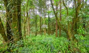 Imagem 4: Vendas Terreno Almirante Tamandaré PR