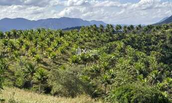 Imagem 3: Terreno com 7 alqueires à venda em Jabaquara, Anchieta/ES - ideal para pecuária, agricultu