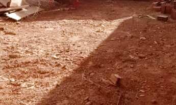 Imagem 6: Lote 26 de setembro